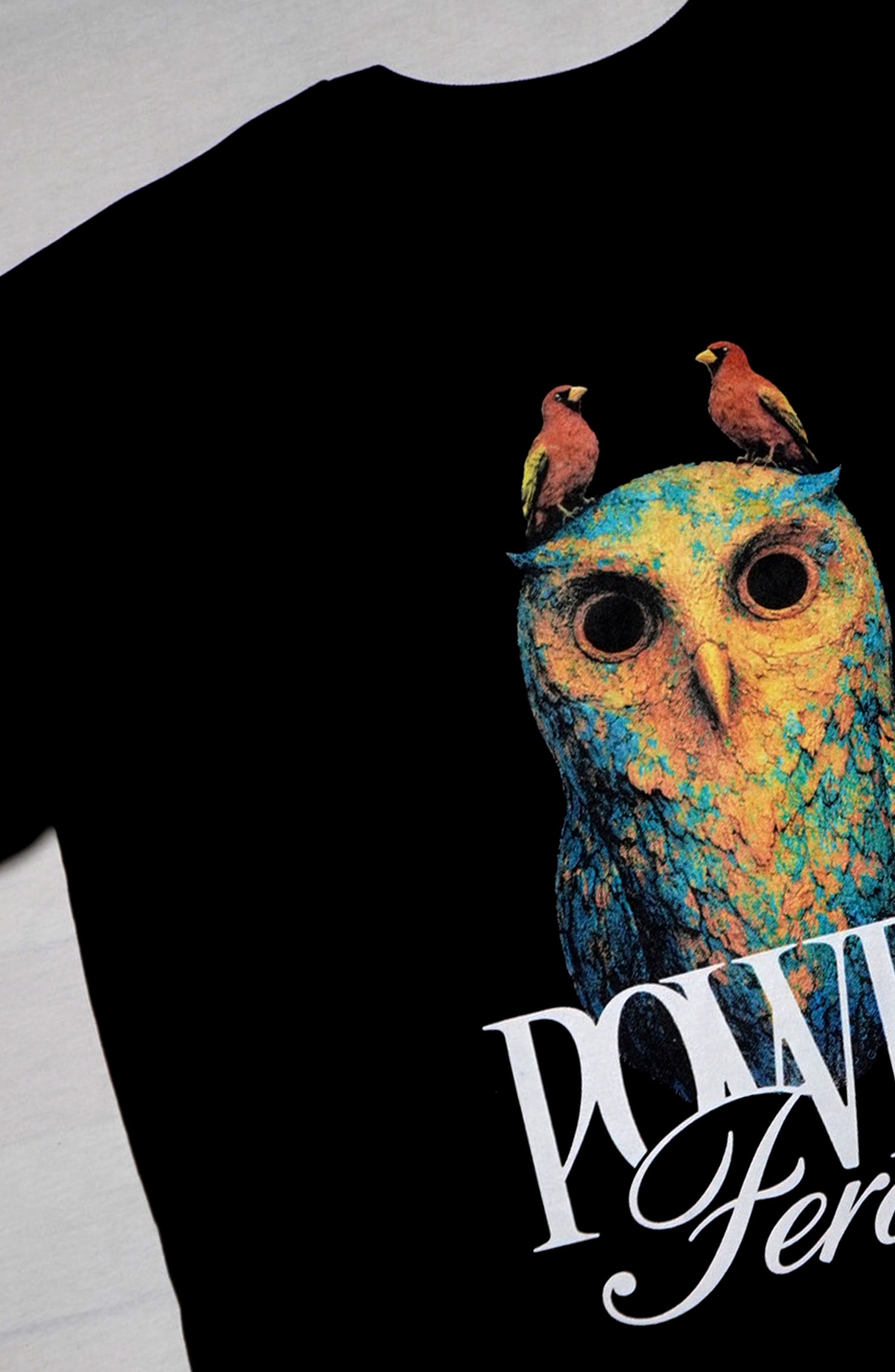 Black t-shirt with a colorful owl design and 'Power Feral' text on a French terry black t-shirt